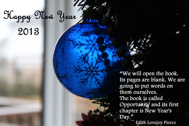 New year pic for blog